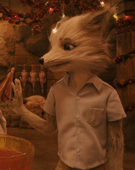 Kristofferson Silverfox - 'Fantastic Mr Fox' | Cinéma, Wes anderson ...