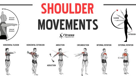 9 Shoulder Joint Movements | Anatomy And Function