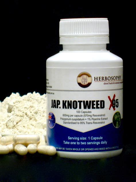 Buy Jap. Knotweed X95 (95% Trans-Resveratrol) Australia | 129.5 | 100 ...