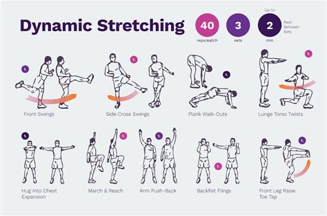 dynamic stretching | Dynamic stretching, Dynamic stretching exercises ...