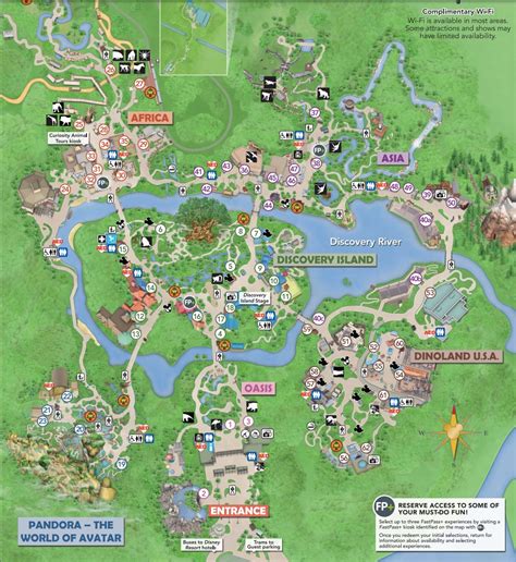 Walt Disney World Animal Kingdom Map - 2024 Summer Olympics