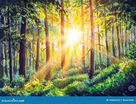 Sunrise in Forest Acrylic Painting Art. Beautiful Sunny Forest ...