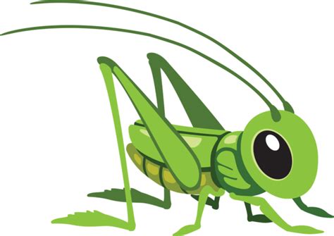 Insect clipart insect grasshopper, Insect insect grasshopper ...