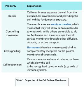 Function of Cell Membrane (A-level Biology) - Bút Chì Xanh