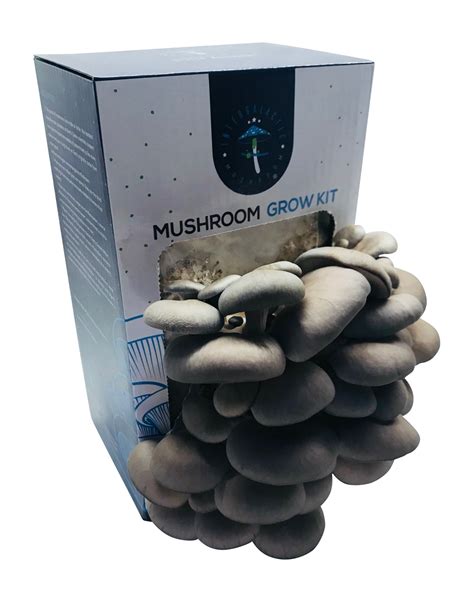 RGJ Gourmet Mushroom Kits