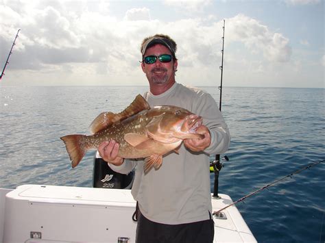 Fishing for Red Grouper in the Gulf of Mexico off Southwest Florida