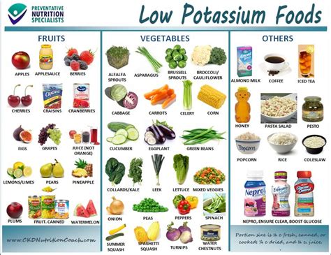 List of Low Potassium Foods Printable - WOW.com - Image Results | Food ...