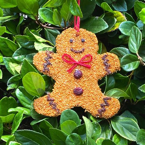 Gingerbread Man Christmas Cookie - Available To Ship 9/1 - Mr. Bird