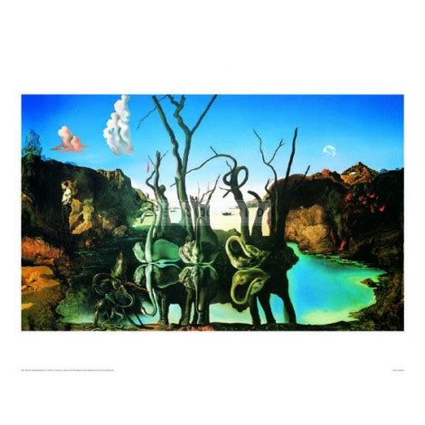 SA001 Swans Reflecting Elephants - Enormous Art