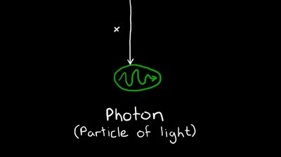 Heisenberg's Uncertainty Principle Explained on Make a GIF