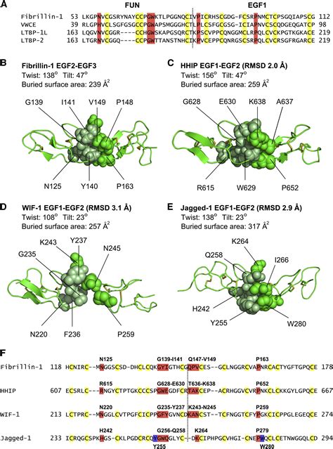 Structure of the Fibrillin-1 N-Terminal Domains Suggests that Heparan ...