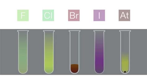 Halogens | Trends in Chemical and Physical Properties, Halogens reactive