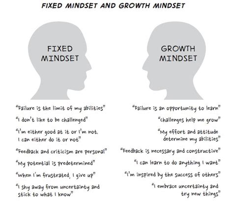 Fixed vs. Growth Mindset - Christian Espinosa