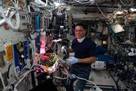 NASA will pay 4 health-conscious 'astronaut-like' people to live inside ...