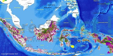 Dena Hutan Di Peta Indonesia