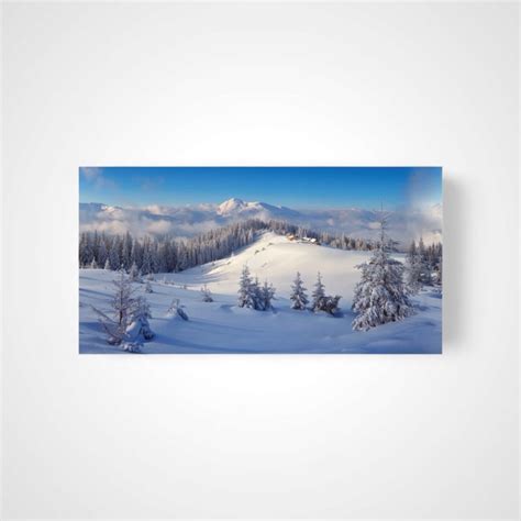 Winter Forest Cloth Backdrop XL