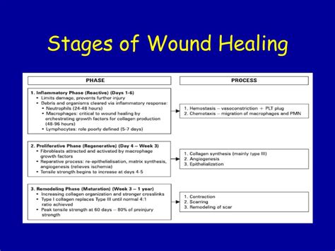 Photos Of Wound Healing Stages