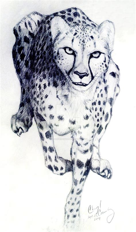 Cheetah Running by silvercrossfox on DeviantArt