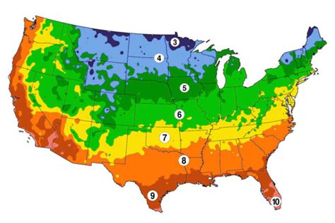 Planting Schedules