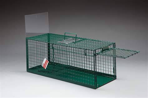 28 HQ Images Humane Cat Traps Uk / Cat Trap Transfer Cage Mobile ...