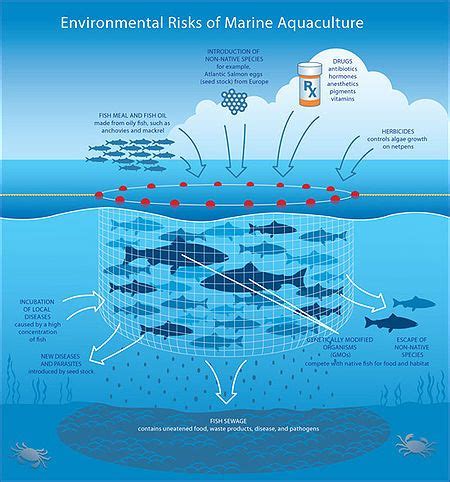 MARICULTURE- aquaculture practices in marine environments | Fish ...