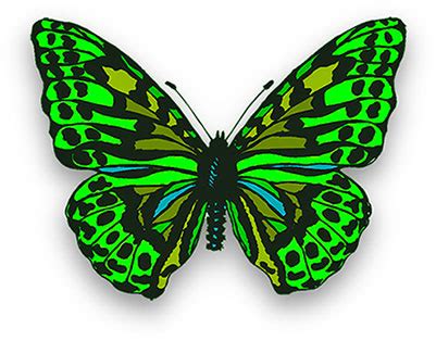 Free Butterfly Animations - Butterfly Gifs - Clipart