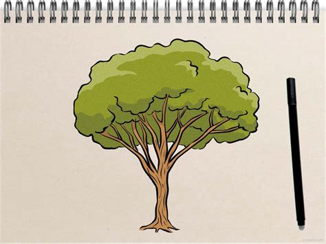 Easy Tree Drawing » How to draw a Tree