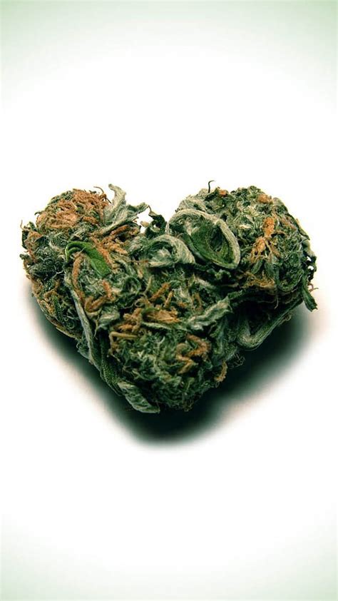 1920x1080px, 1080P free download | W**d Heart, buds, cannabis, dope ...