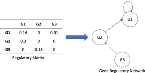 Method for creating a gene regulatory network starting from the ...