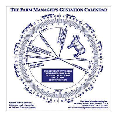 Cow Gestation Period Chart - All About Cow Photos