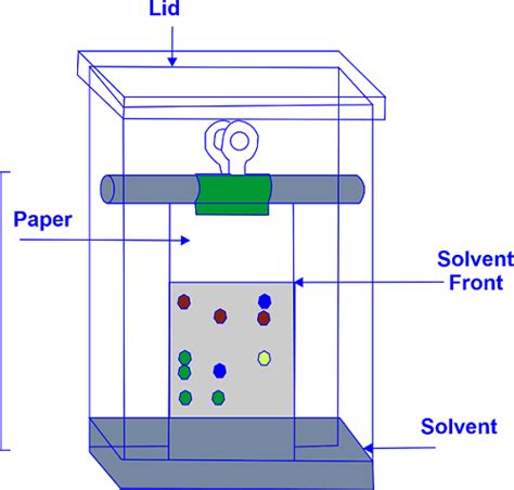 Paper Chromatography Diagram