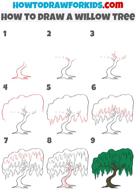 How to Draw a Willow Tree - Easy Drawing Tutorial For Kids