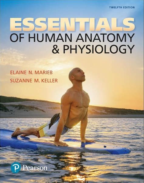 Essentials of Human Anatomy & Physiology 12th Edition – PDF – eBook ...