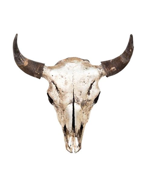 Bison Skull Silver by Phylum at Gilt | Bison skull, Art, Skull art