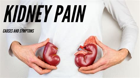 How Long Does Kidney Pain Last? – 8 Billion Voices