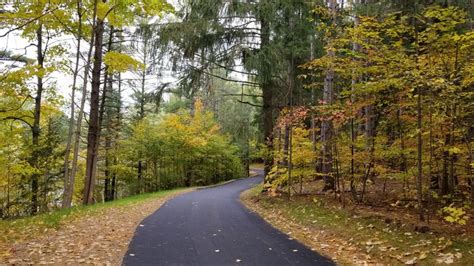 Aspen Park | Aspen park, Gaylord, State forest