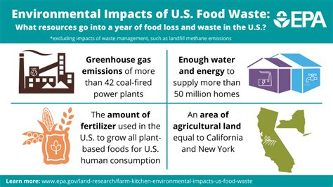 From Farm to Kitchen: The Environmental Impacts of U.S. Food Waste | US EPA