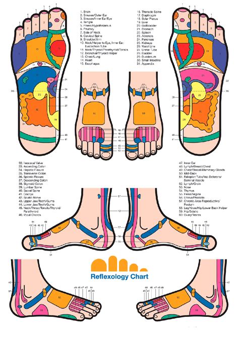 Map by Eunice Ingham: every organ in the body has its reflex point on ...