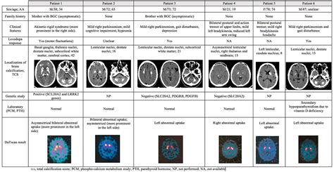 Dopaminergic imaging in patients with basal ganglia calcification ...