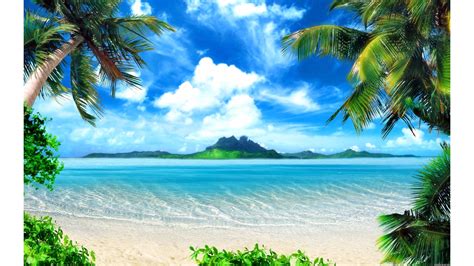 🔥 [71+] Free Caribbean Beach Wallpapers | WallpaperSafari