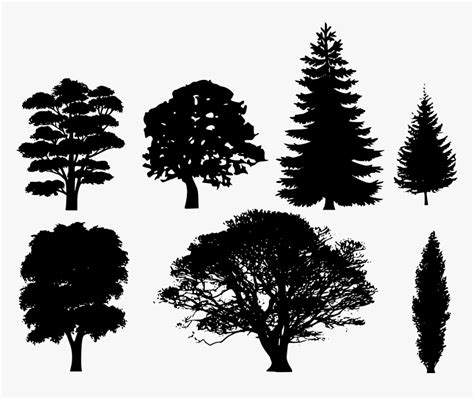 Pine Tree Png Vector - Free Vector Tree Silhouette, Transparent Png ...