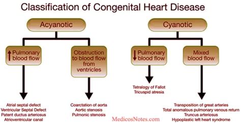 Hereditary Heart Disease Causes, Types, and Treatment