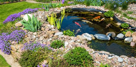 Water Features for a Peaceful Backyard Retreat | Living Color Garden Center