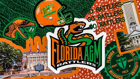 Famu Zoom Backgrounds