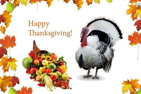 Turkey Wallpaper Thanksgiving ·① WallpaperTag