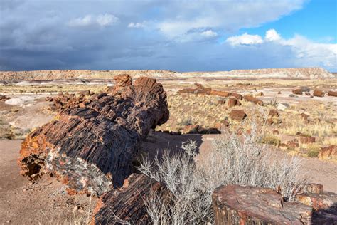 Petrified Forest National Park and the Painted Desert - Steph Purk