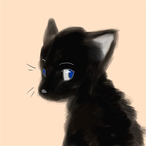 Black cat blue eyes by DashingSpirit on DeviantArt