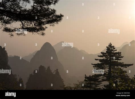 Morning in Huangshan mountains. Chinese landscape. Sunrise Stock Photo ...