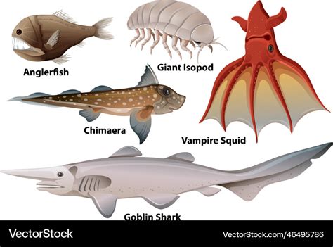 Deep sea creatures collection Royalty Free Vector Image