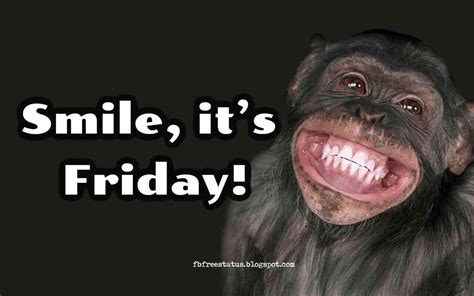 T.G.I.F! Happy & Funny Friday Quotes To Be Happy on Friday Morning